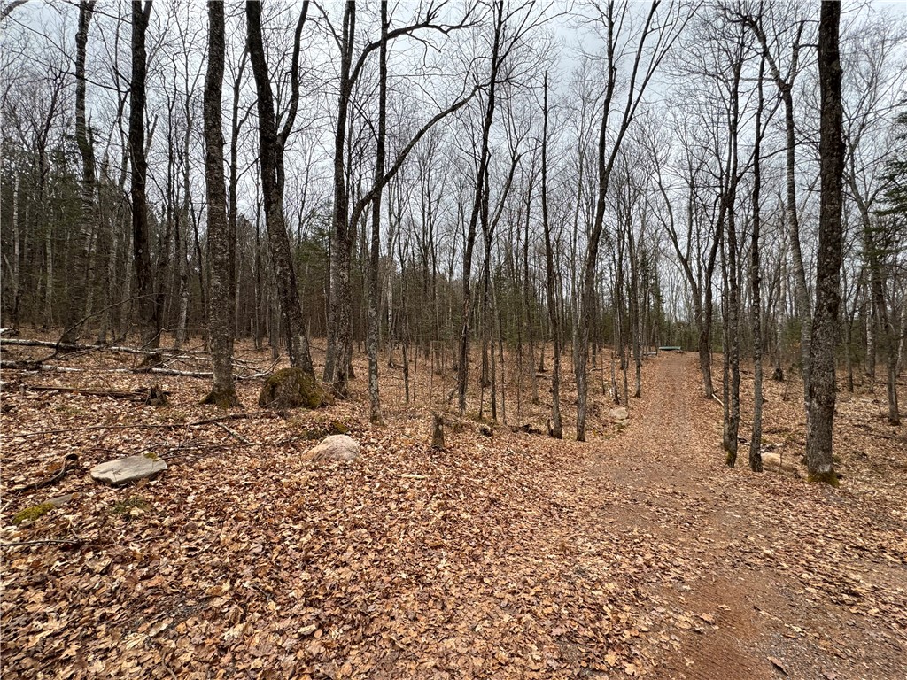 Lot 3 Scheers Road Property Photo 16