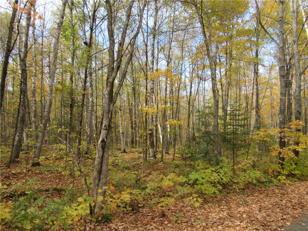 Lots Scheers Road Property Photo 1