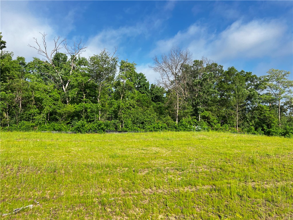 Lot 1 Richards Drive Property Photo 1