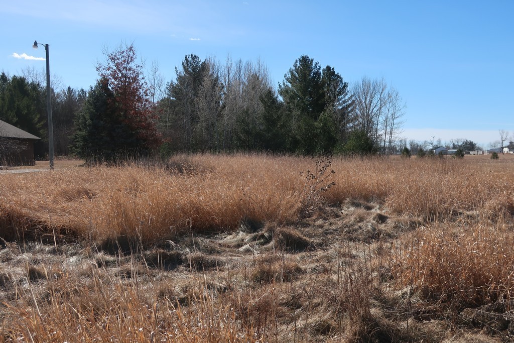 Lot 1 State Road 70 Property Photo 5
