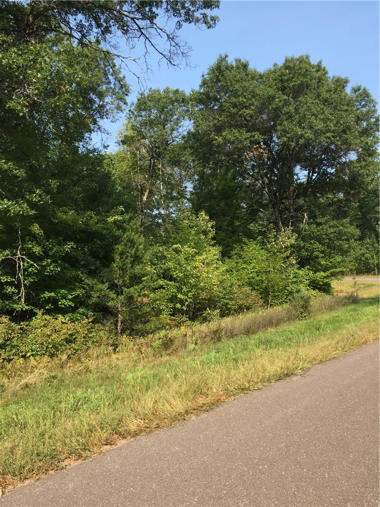 Lot 18 Shady Lane Property Photo 5