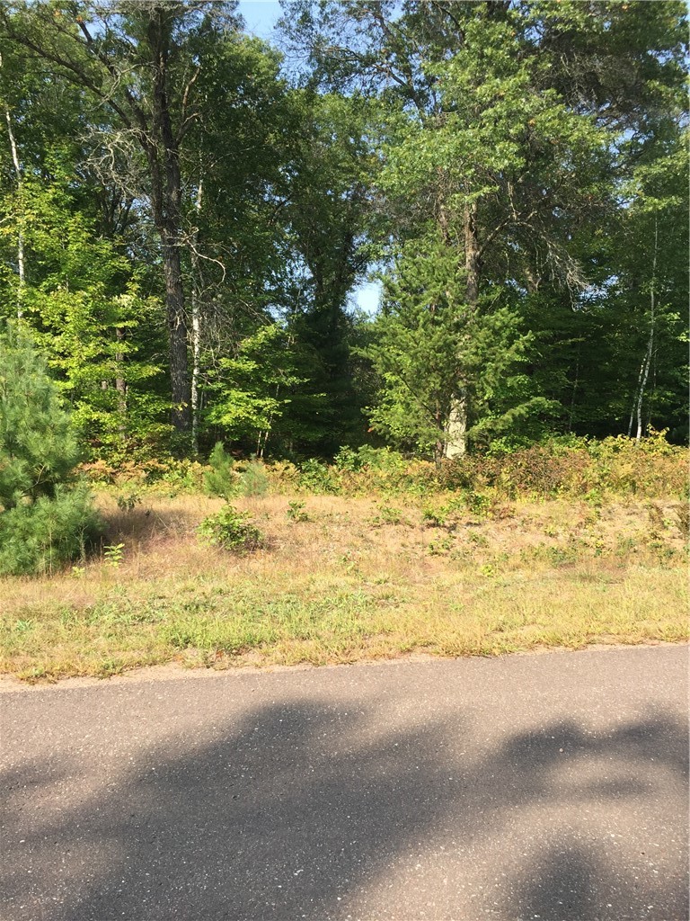 Lot 20 Shady Lane Property Photo 4