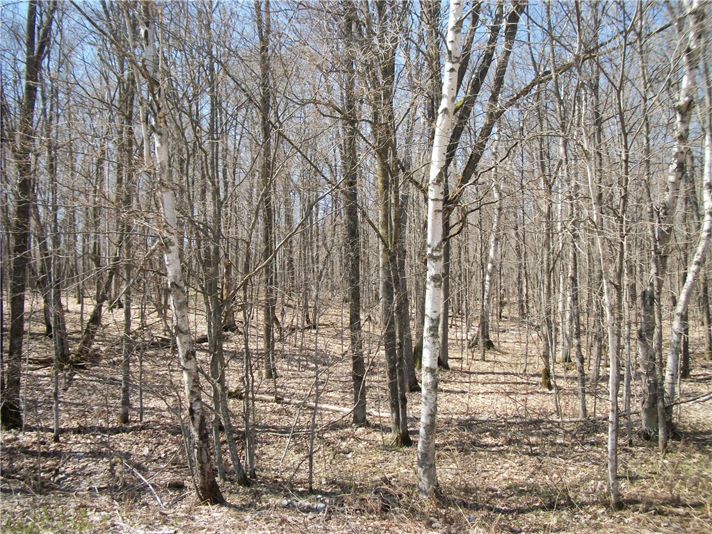 Lots 26 & 29 Loch Lomond Boulevard Property Photo