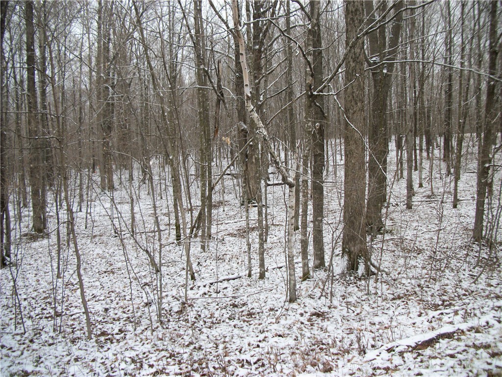 Lot #96 Woods Avenue Property Photo