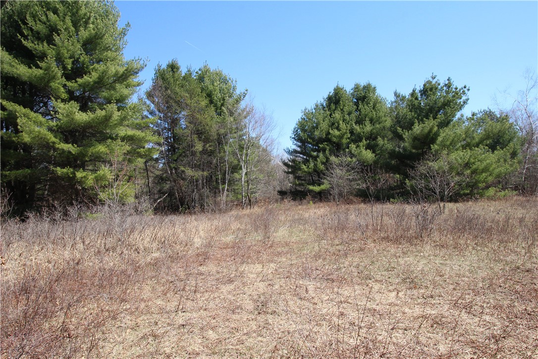 E17210 Scenic Drive Property Photo 6
