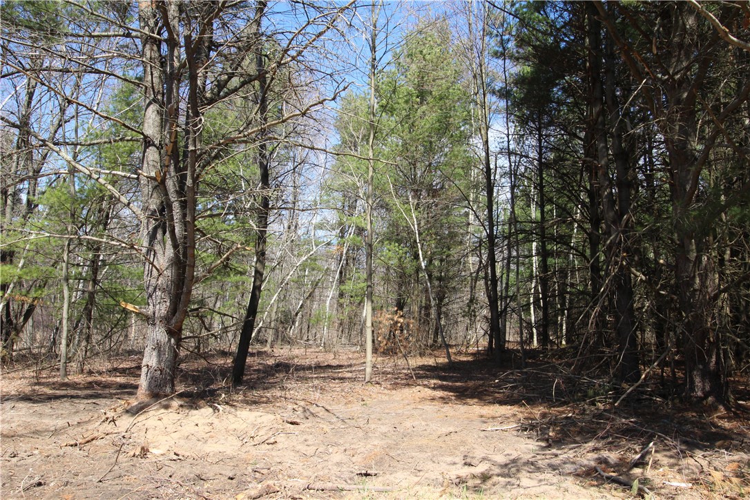 E17210 Scenic Drive Property Photo 8