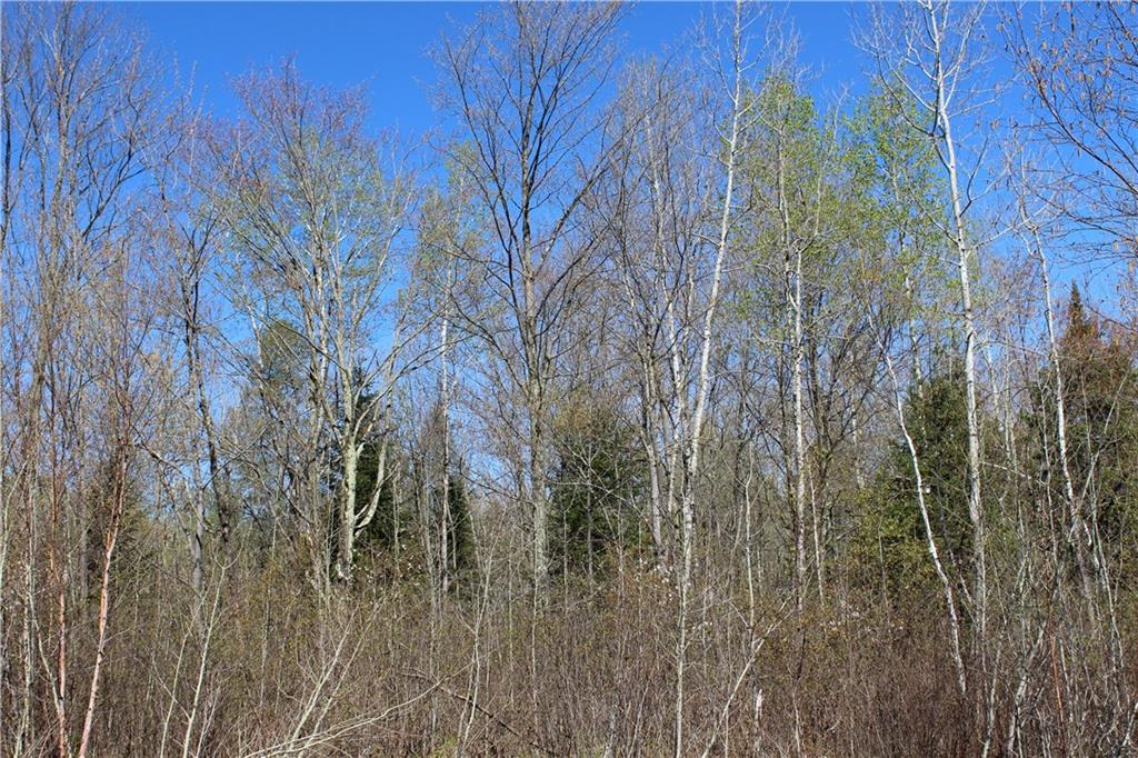 000 Cty. Road M - 46 Acres Property Photo 2