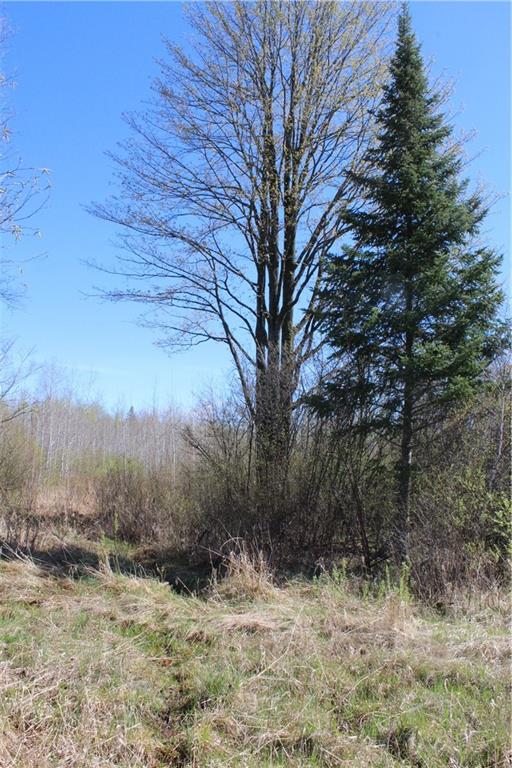 000 Cty. Road M - 46 Acres Property Photo 4