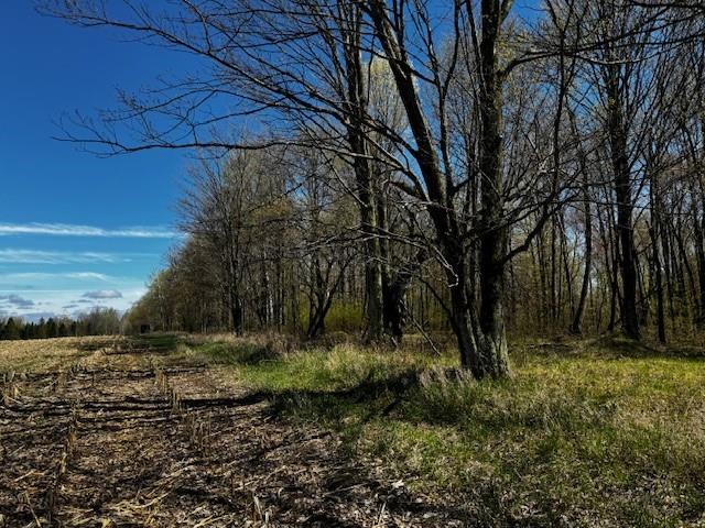000 Cty. Road M - 46 Acres Property Photo 7