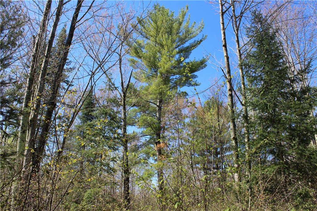 000 Cty. Road M - 46 Acres Property Photo 8