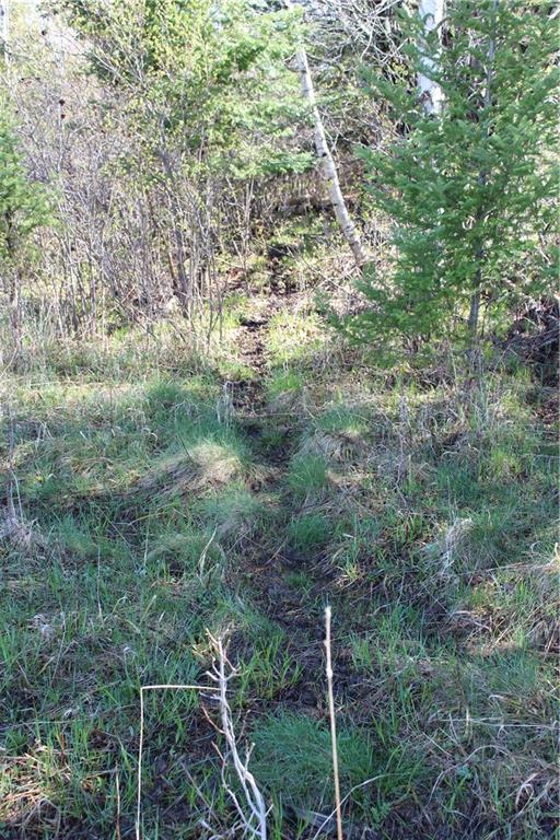 000 Cty. Road M - 46 Acres Property Photo 9