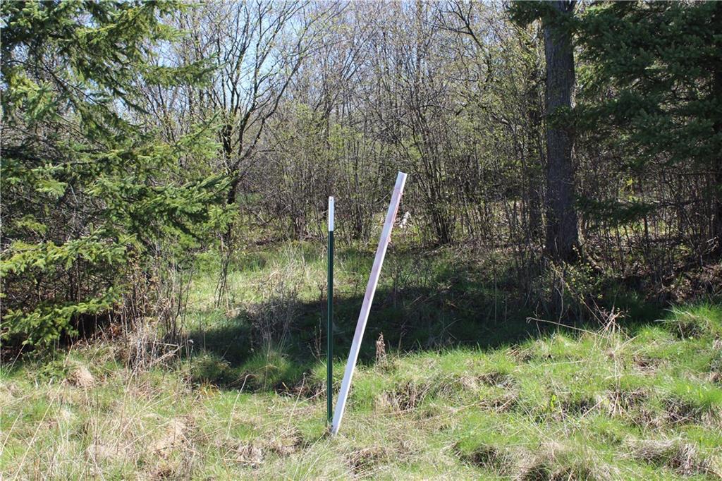 000 Cty. Road M - 46 Acres Property Photo 10