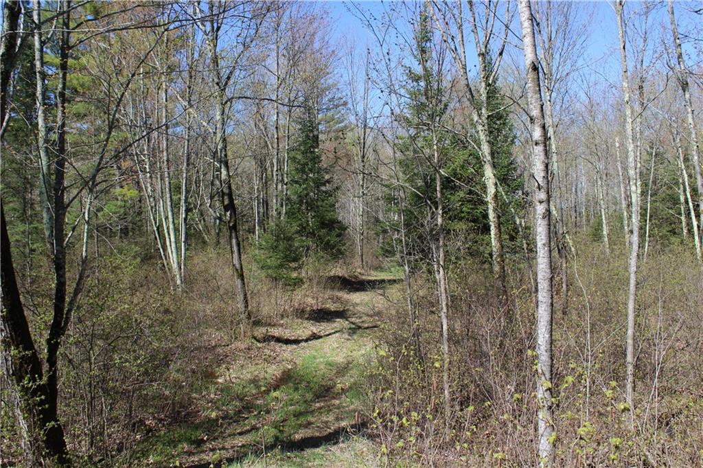 000 Cty. Road M - 46 Acres Property Photo 11