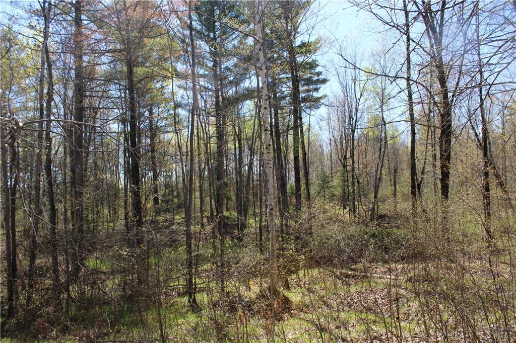 000 Cty. Road M - 46 Acres Property Photo 12