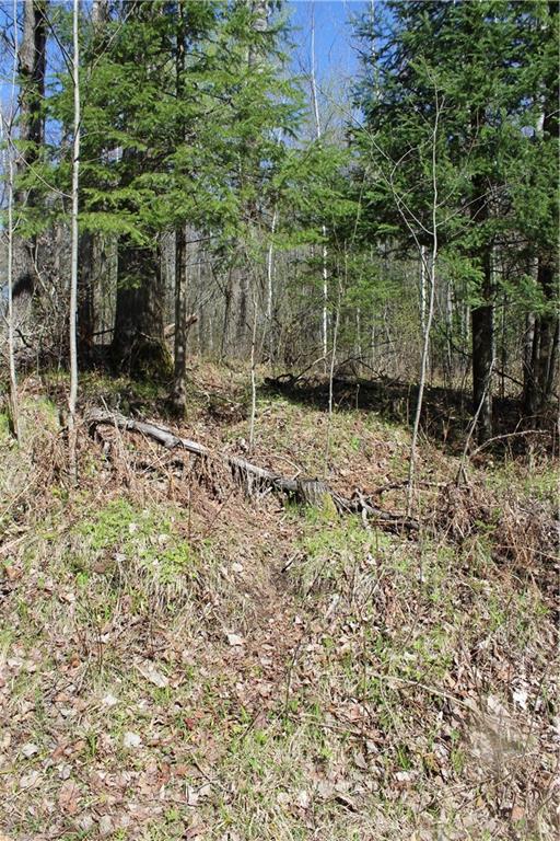 000 Cty. Road M - 46 Acres Property Photo 13