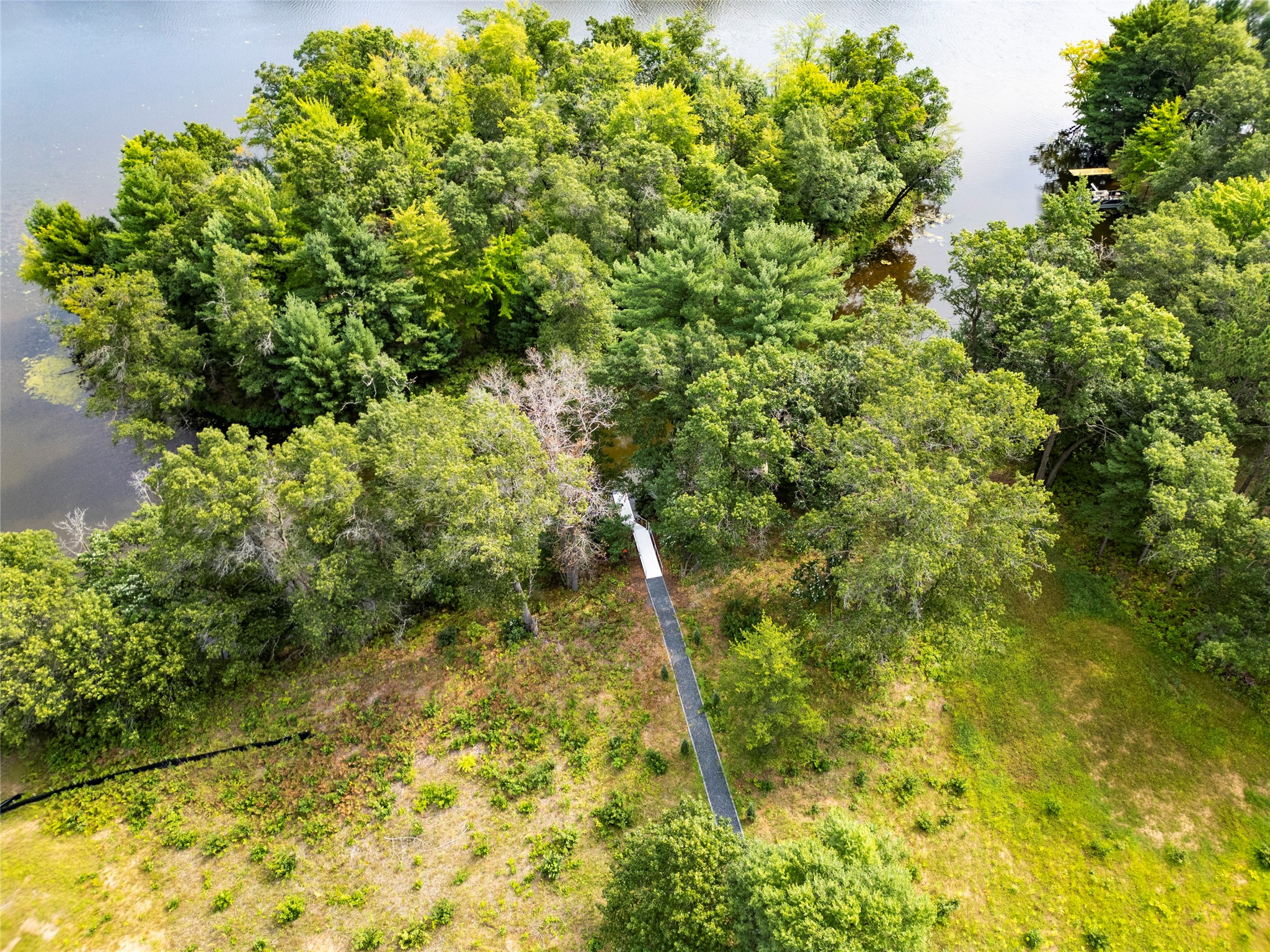 Lot #6 Ladybug Trail Property Photo 6