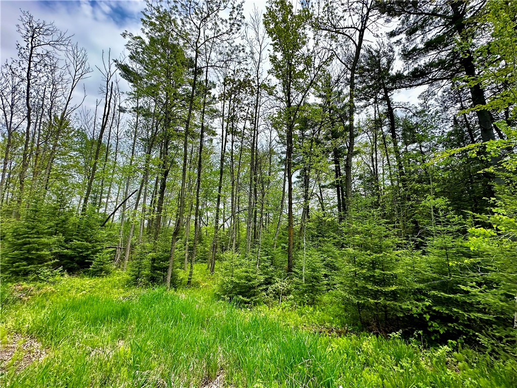 15433 State Hwy 178 Property Photo 5
