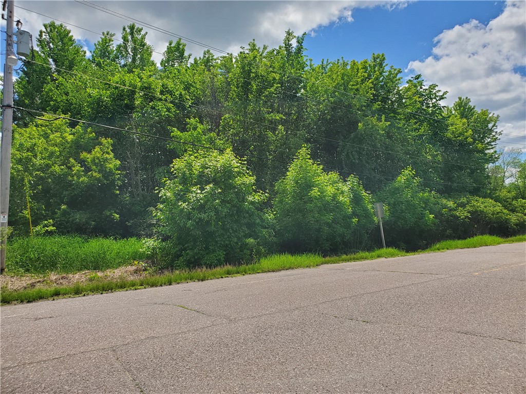 Lot W Chippewa Street Property Photo 1