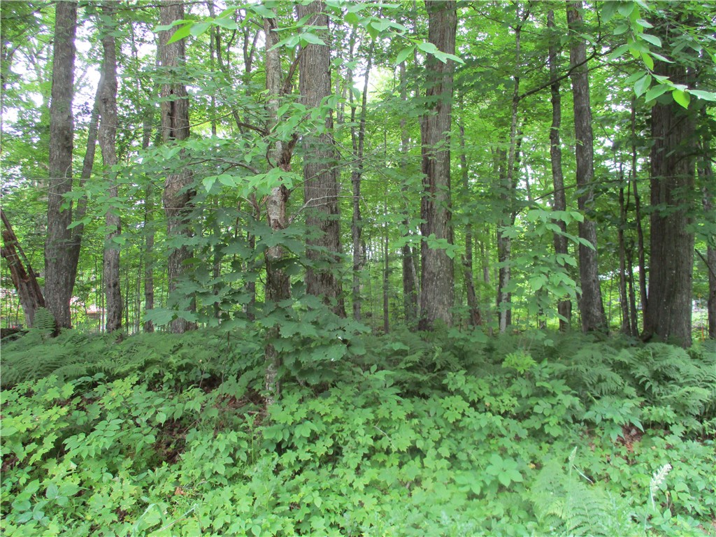 Lots #57&59 29 15/16 Avenue Property Photo