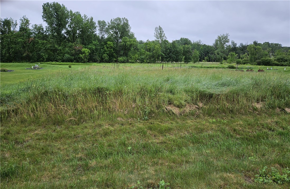 Lot 16 558th Street Property Photo