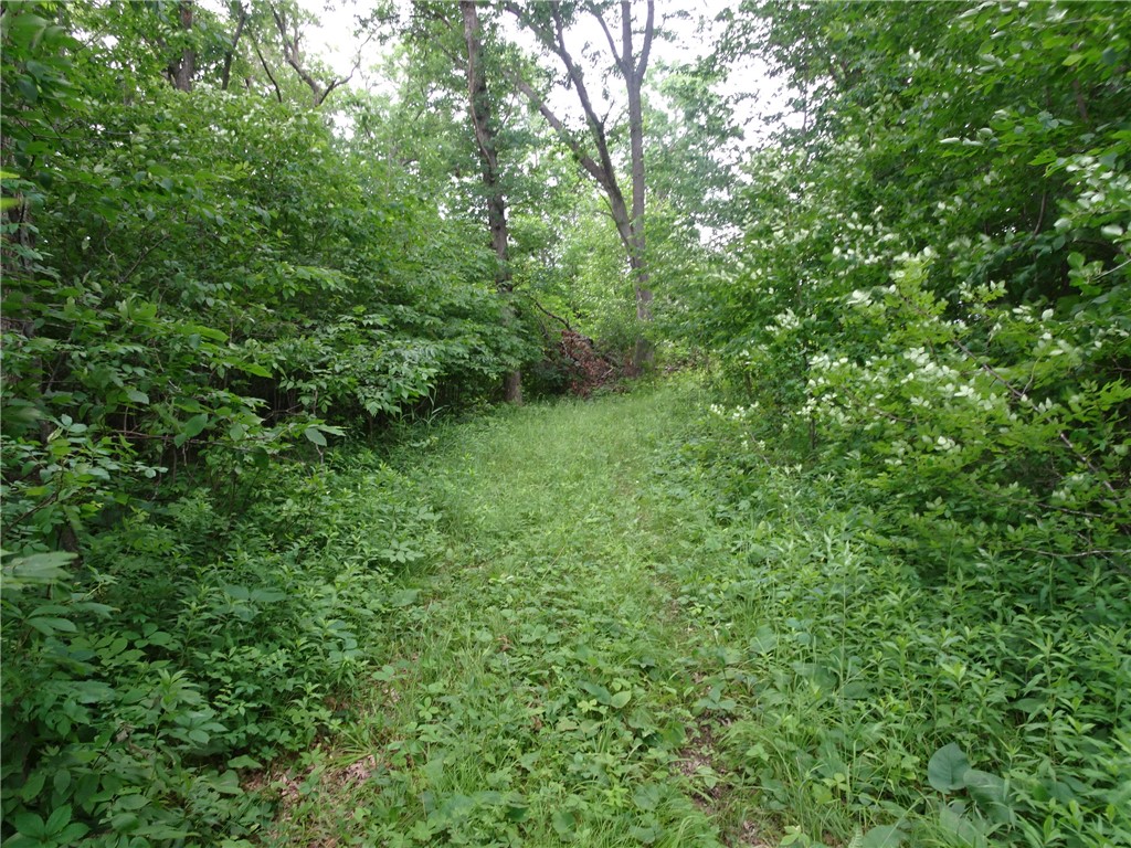 Xxx 260th Avenue Property Photo