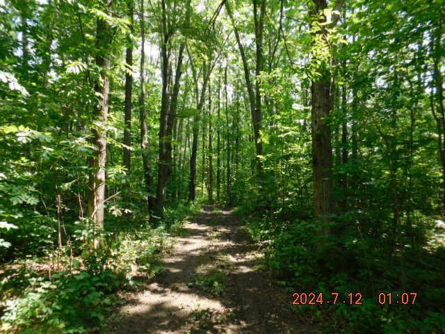 Lot 1 County Highway F Property Photo