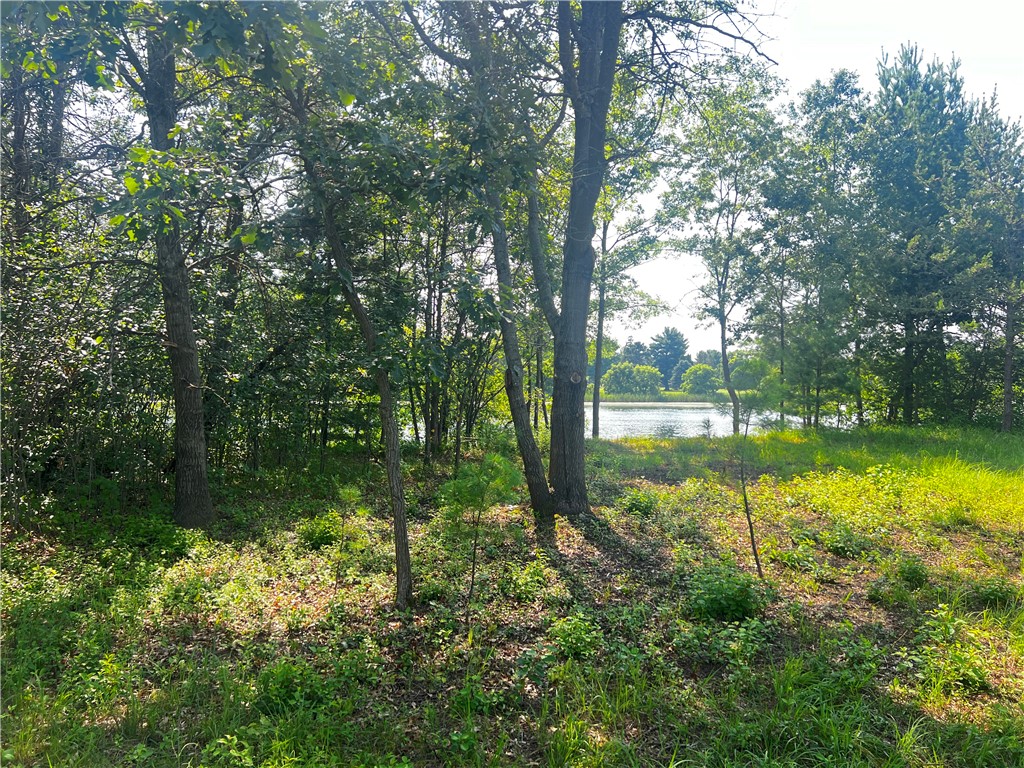 Lot 4 27th Court Property Photo 5
