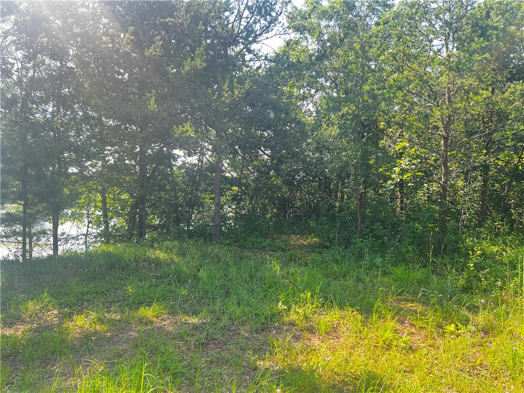 Lot 4 27th Court Property Photo 15
