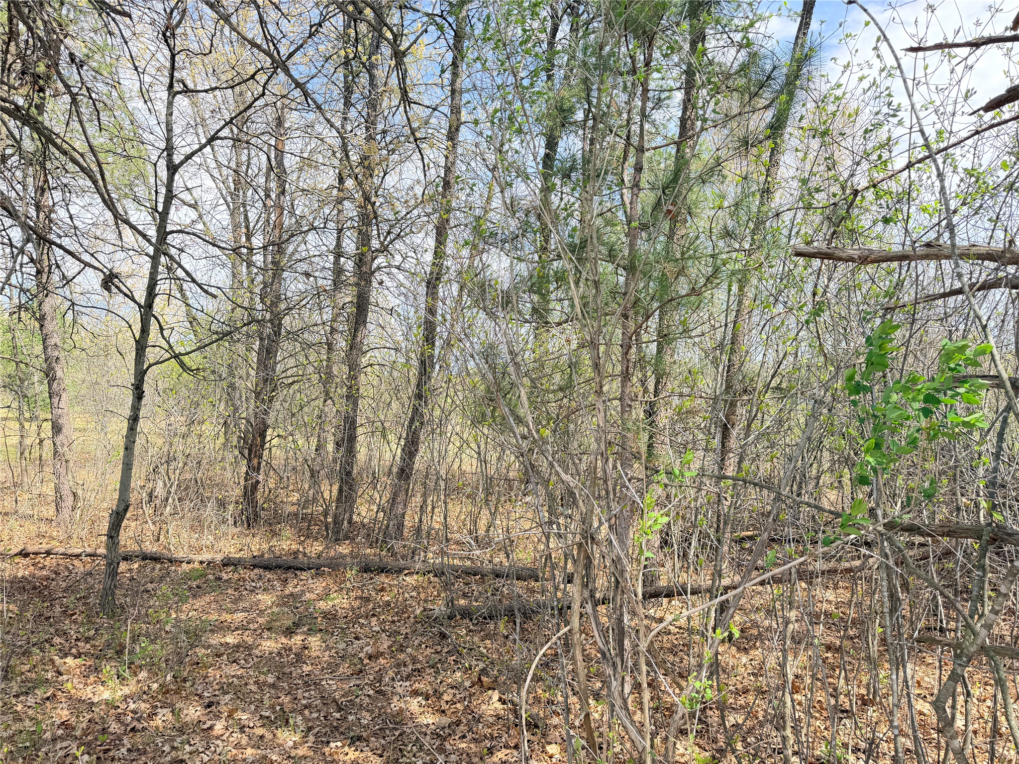 Lot 4 27th Court Property Photo 23