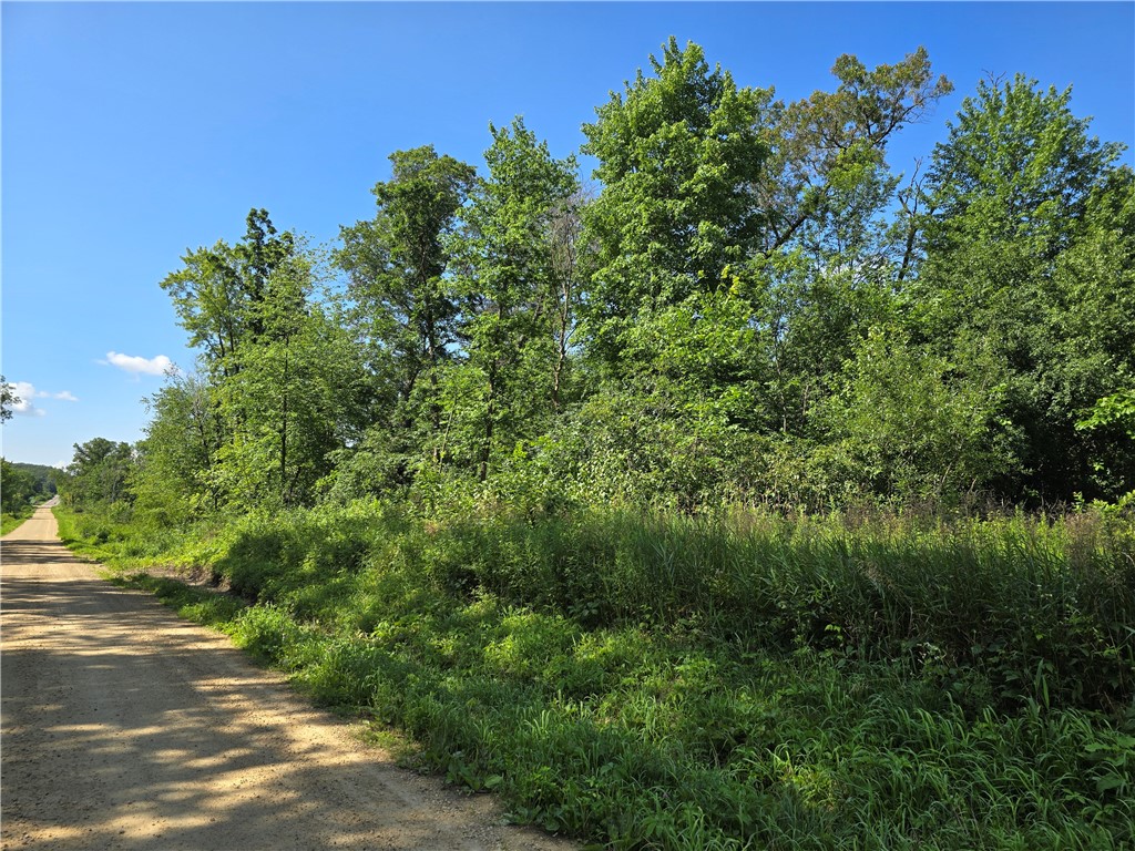 Lot 8 Hemlock Road Property Photo 1