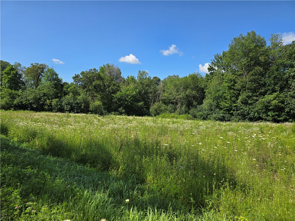 Lot 8 Hemlock Road Property Photo 2