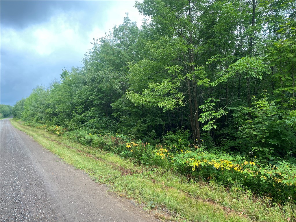 On Bear Lake Rd Road Property Photo