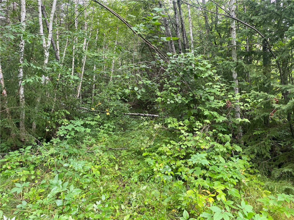 On Knowles Road Property Photo