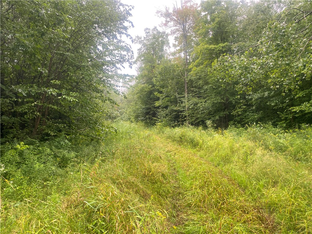 Near Timber Road Property Photo