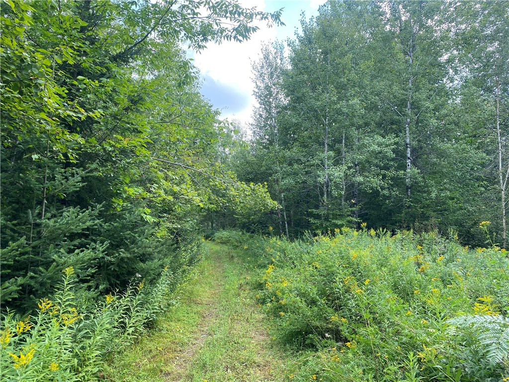 On Reynolds Road Property Photo