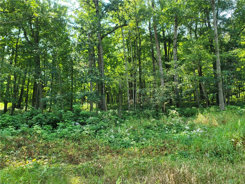 00 County Hwy U Property Photo