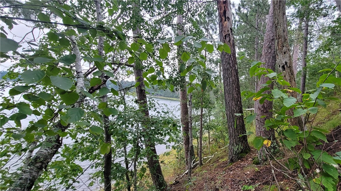 12029 Lot 3 E County Highway Y Property Photo 1