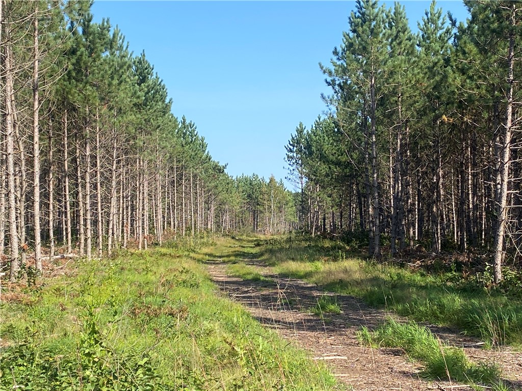 On Hall Road Property Photo 1
