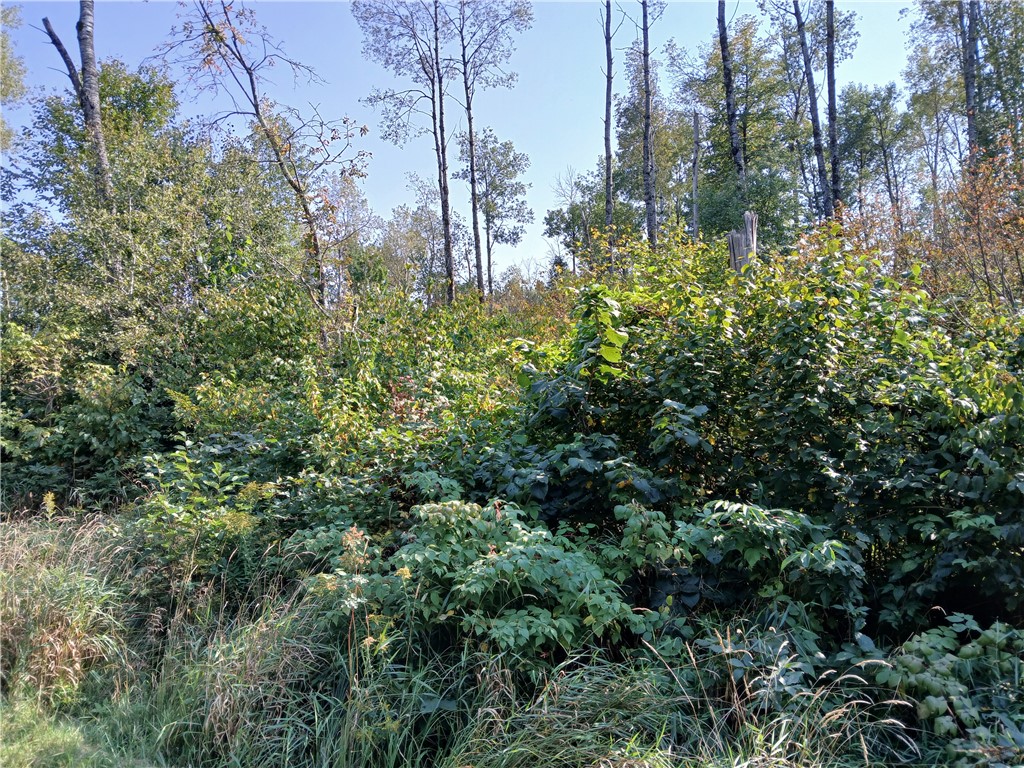 Outlots 5, 6, 7 Frels Road Property Photo 1