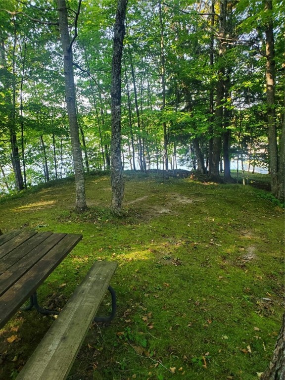 36601 156th Avenue Property Photo 17