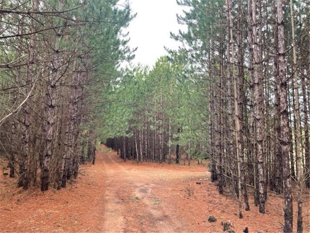 Xxx Hay Creek Boulevard Property Photo