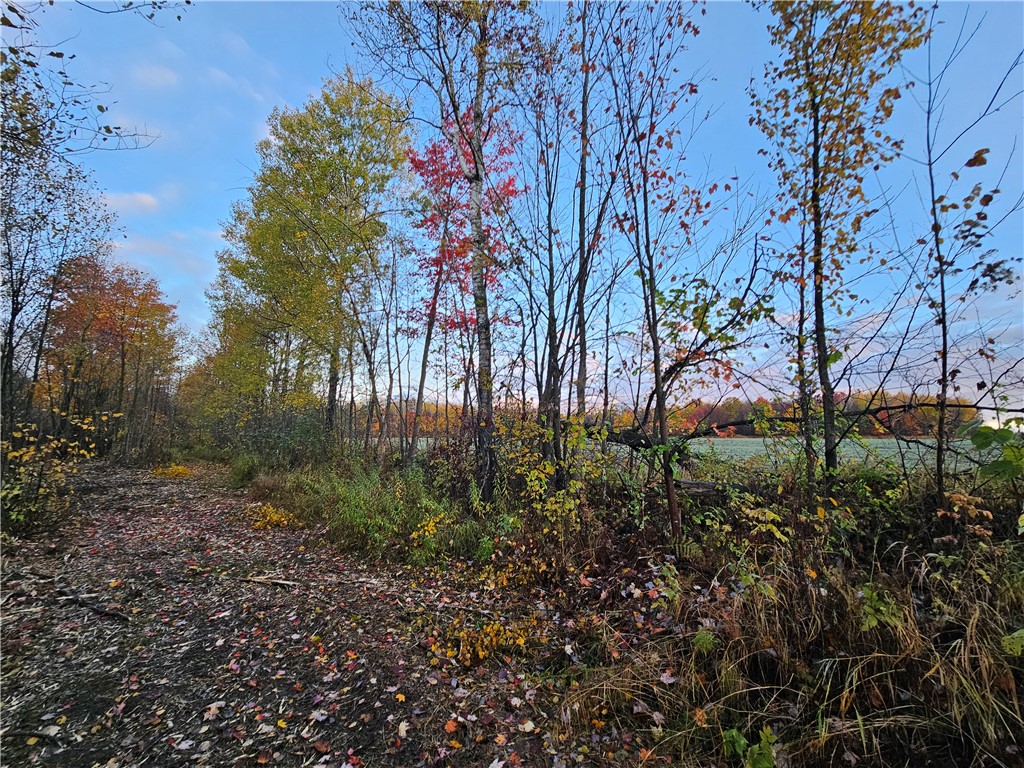 0 Spring Creek Road Property Photo