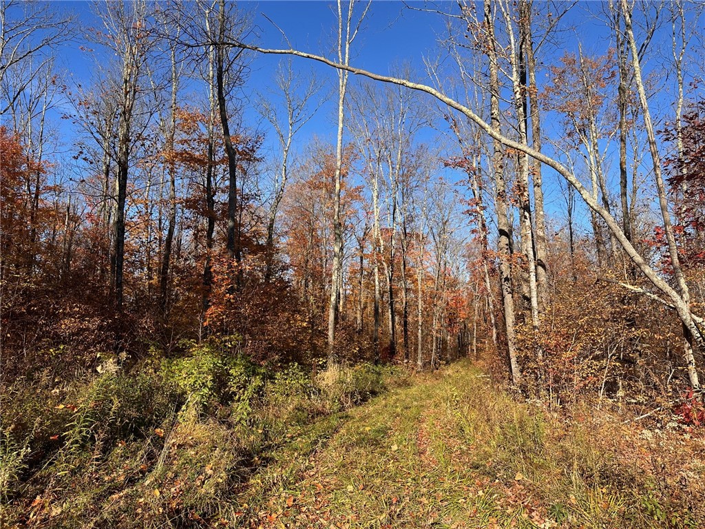 40775 State Hwy 27 Property Photo
