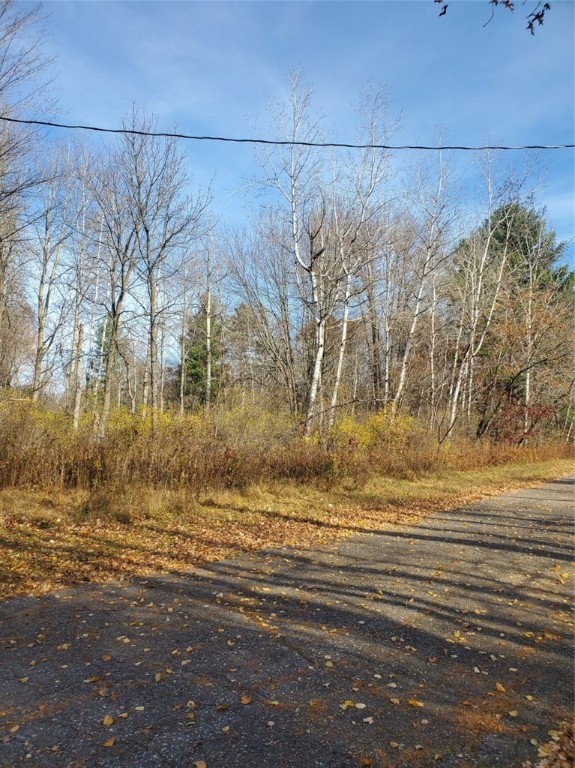 Lots 15-18.5 265th Avenue Property Photo 1