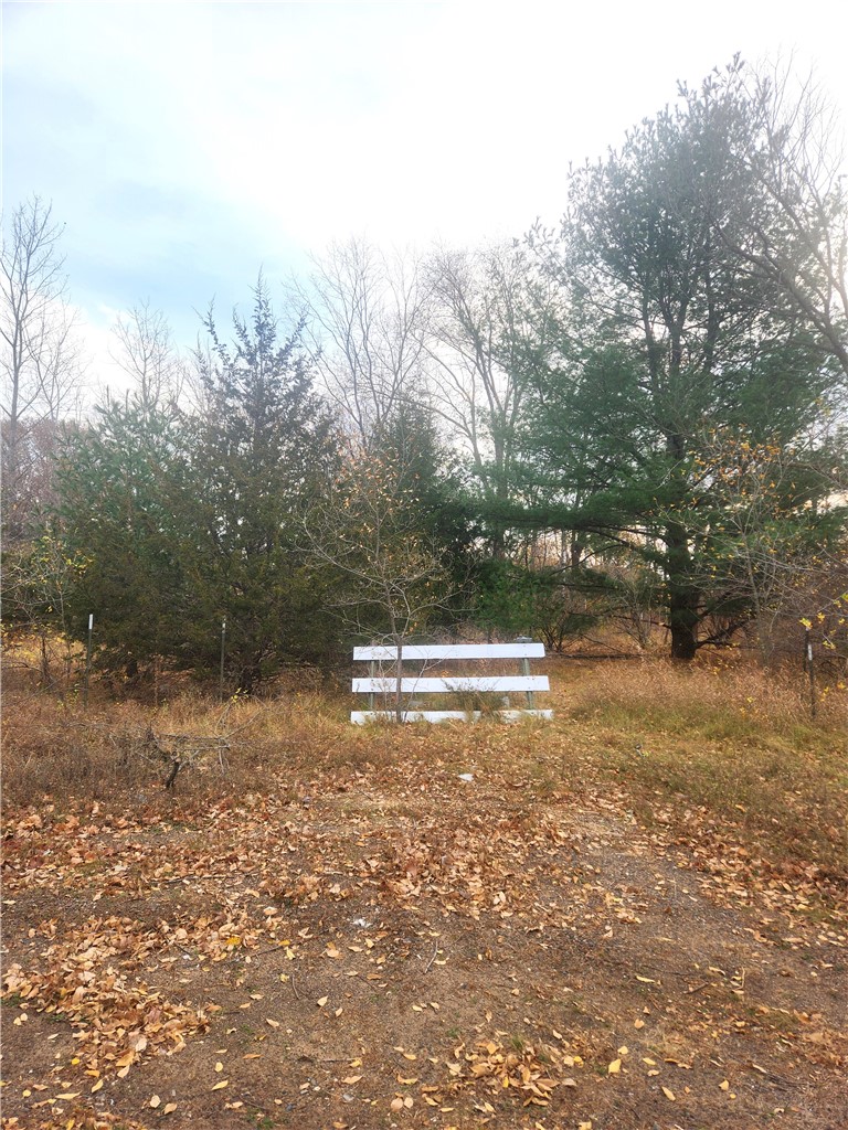 Lot 1 W Leonard Street Property Photo 2