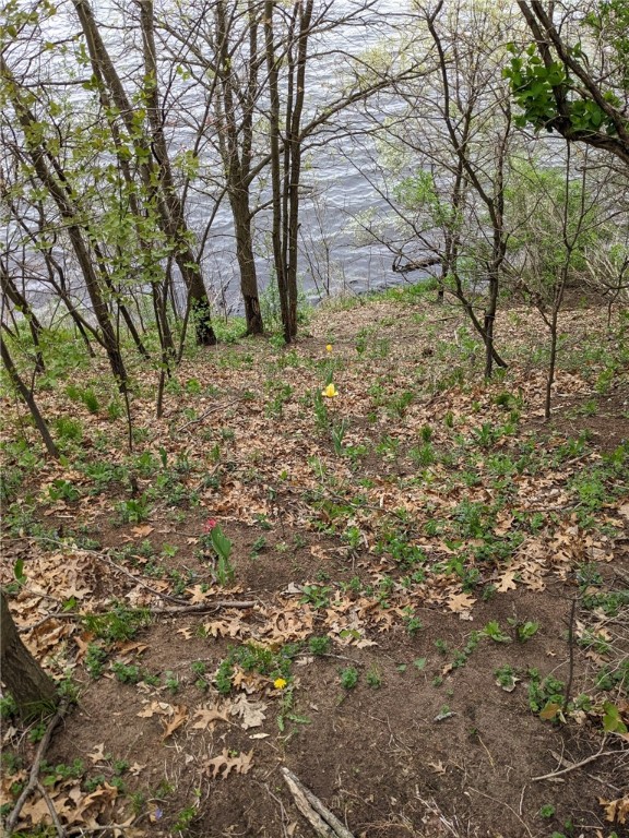 0 196th Property Photo 5