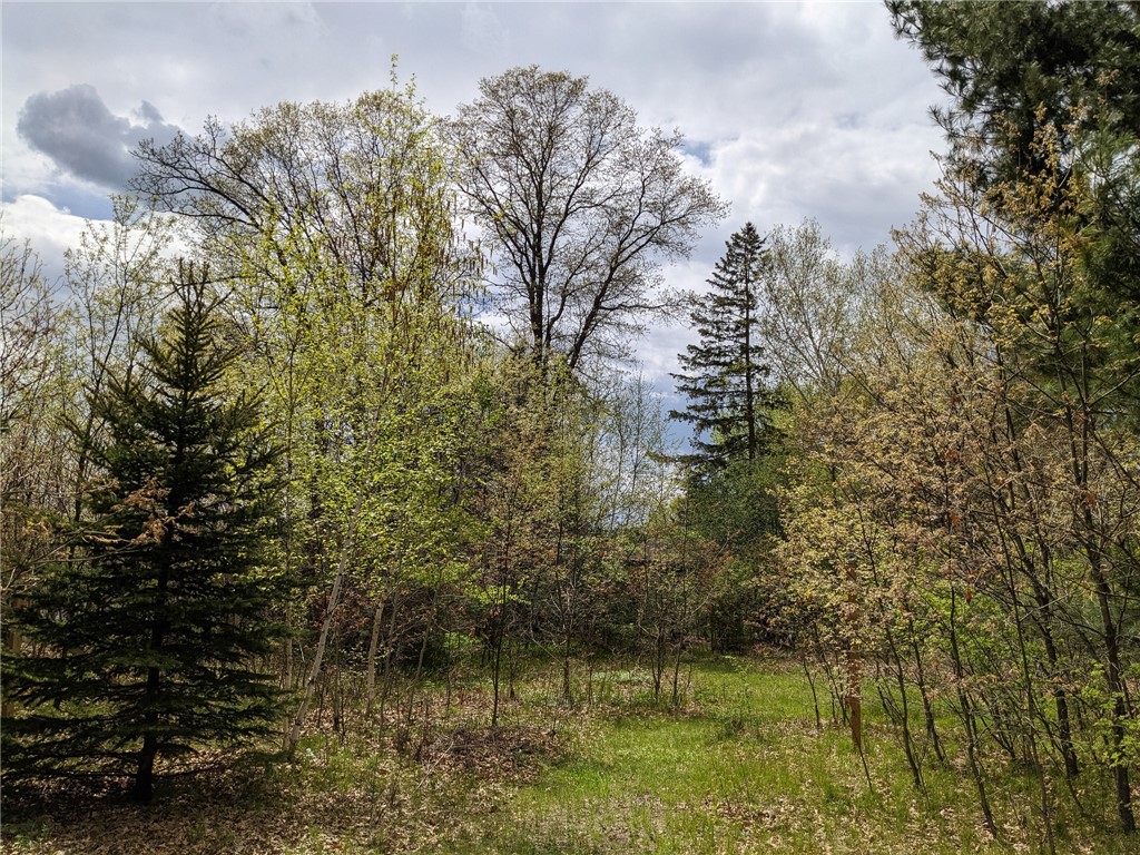 0 196th Property Photo 10