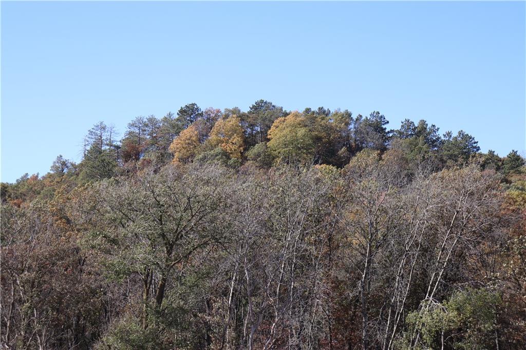 N14253 Mcgower Road Property Photo 29