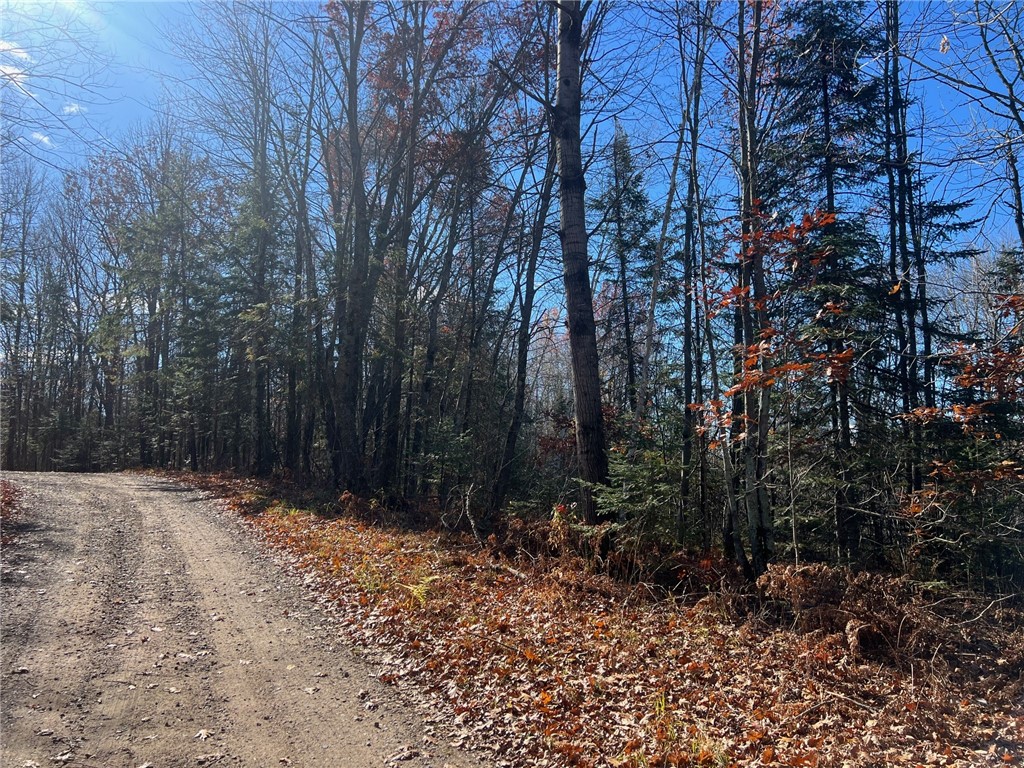 Tbd W Willy Road Property Photo
