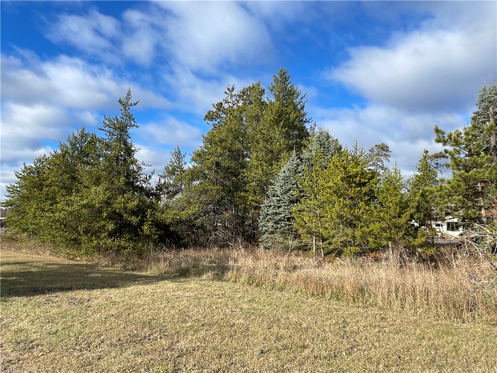 Lot 2 Ranch Road Property Photo 1